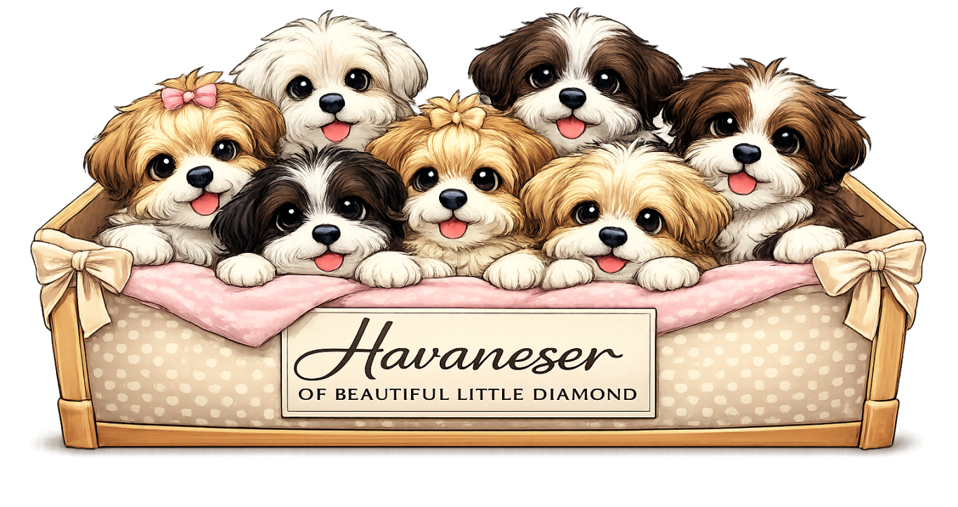 Unsere Wurfbox Unsere Wurfbox